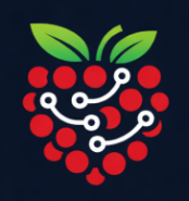 Rasberry Solutions Logo